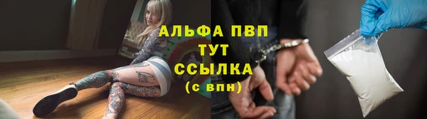 стаф Кукмор