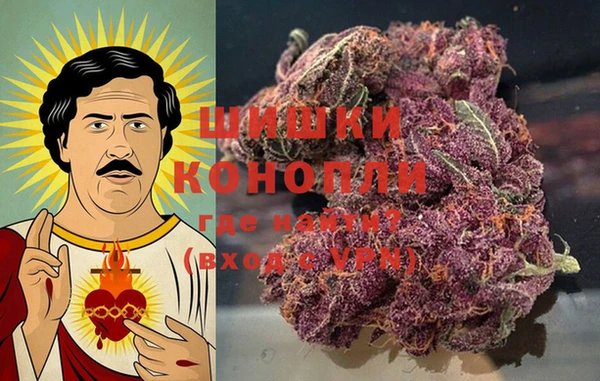 стаф Кукмор