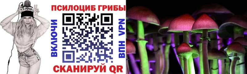 Галлюциногенные грибы Cubensis  Купить где  Верхняя Тура 